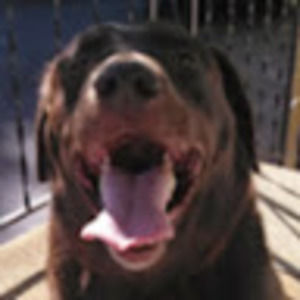 Meet your Posher, Carol